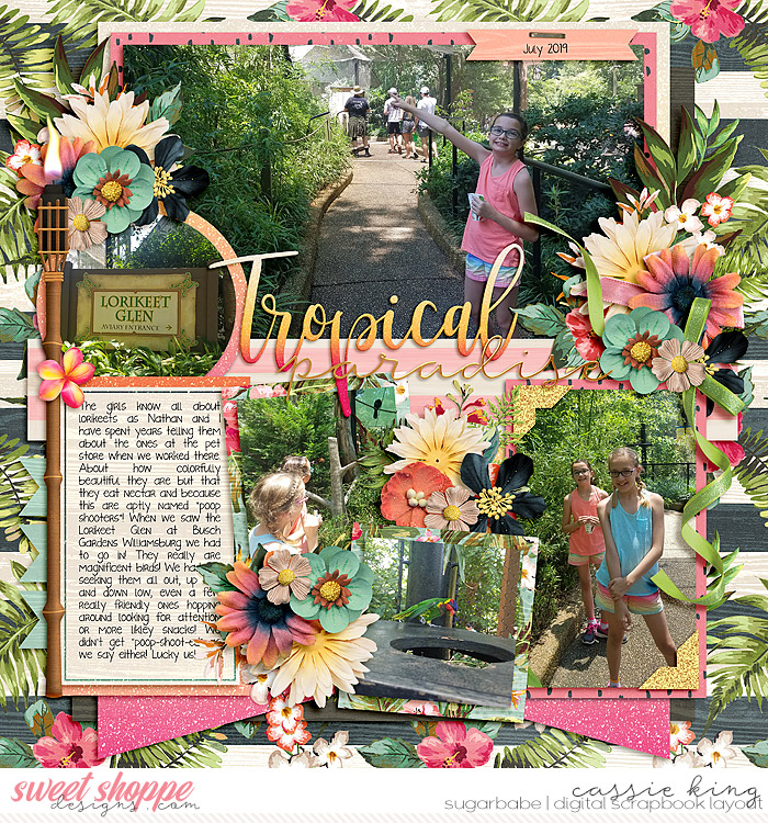 GS-GIS-8-_SF-Sweet-Summer_