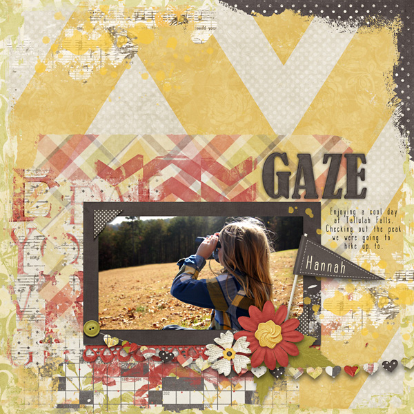 Gaze1