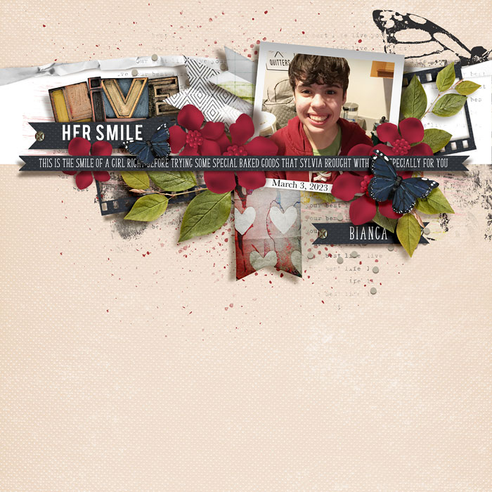 GiftDonut-72ppi
