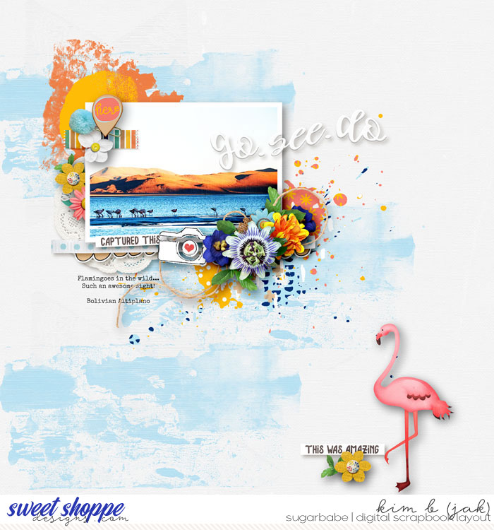 Go-see-do-_flamingoes_b