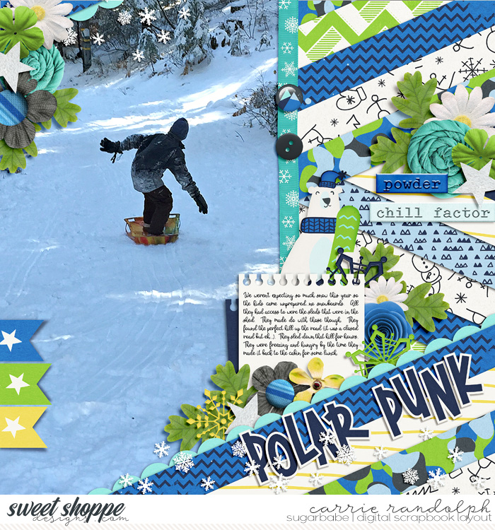 HP214_PolarPunkWebWM