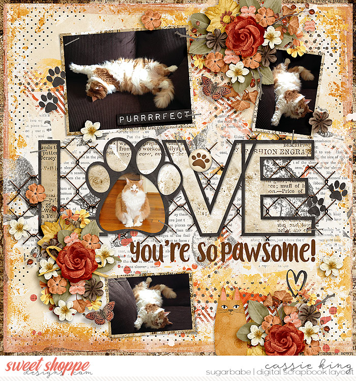HSA--Making-Memories-_11-_KH-honey-maple-hill_-purr-fect_