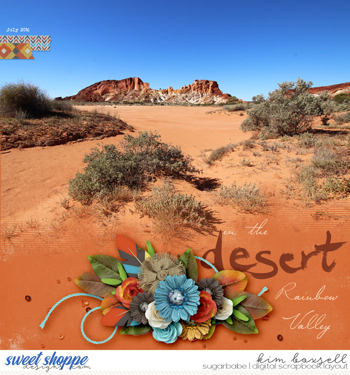 In-the-desert_b
