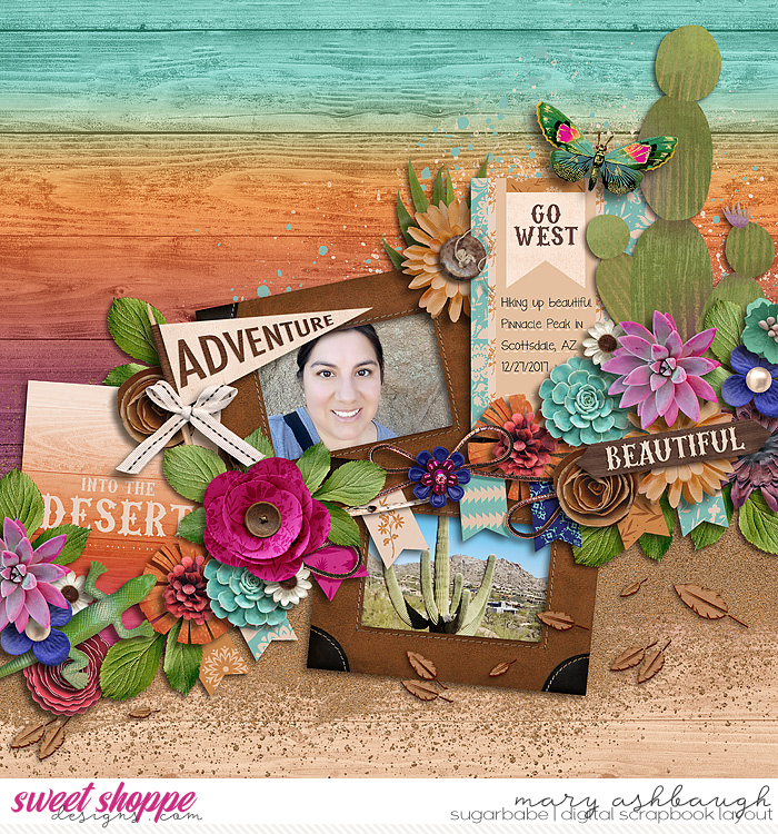 IntotheDesert_SSD_mrsashbaugh