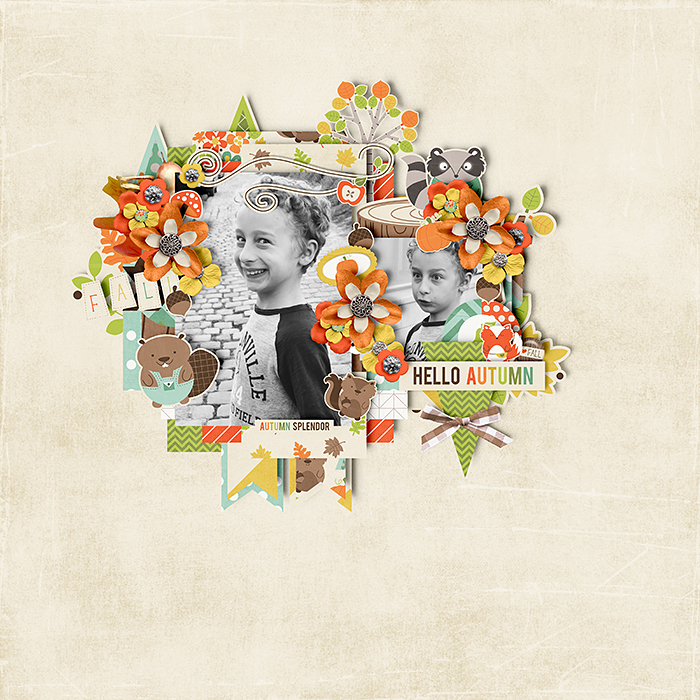JDS_WoodlandAutumn_TTT_MakeYourOwnPath2