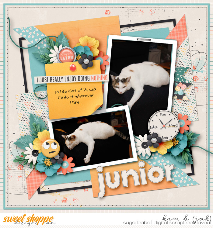 Junior_b