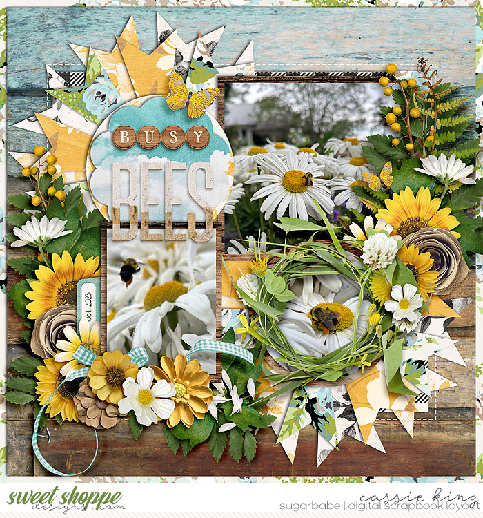 KCB_Countryside-_CS-TAN1photoV2pg2_