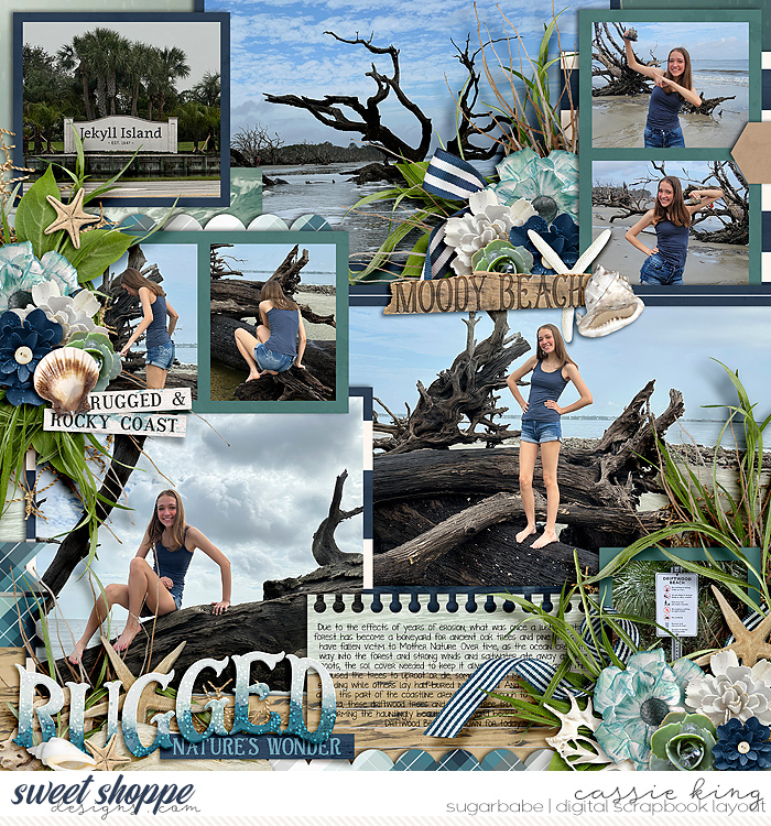 KCB_Stormy_Shores_CS-HP435pg1_