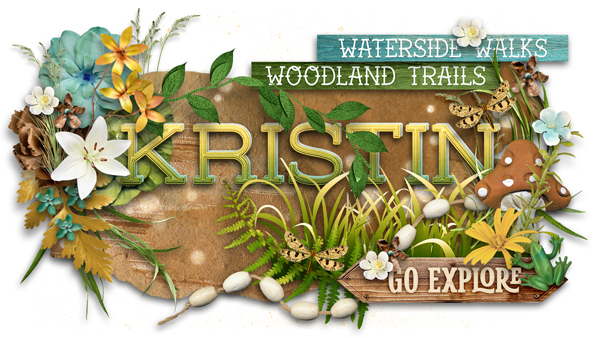 Kristin-Creek-Brooks-Forests-siggy