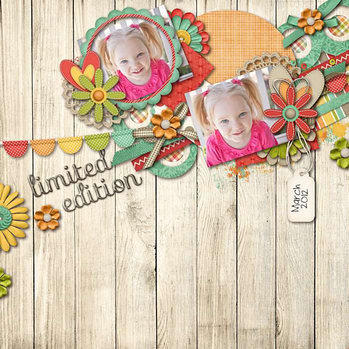 LIMITED_EDITION