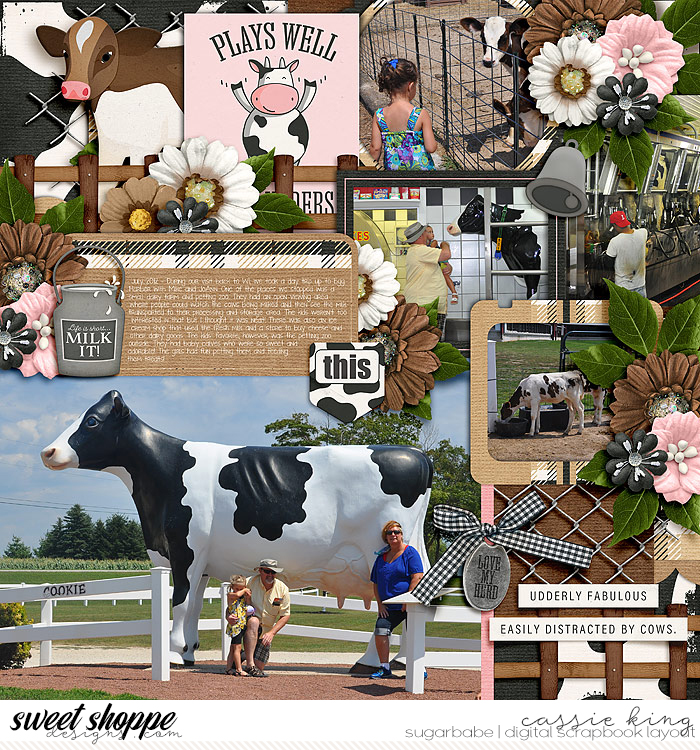 LJS-Love-My-Herd-_CS-HP-398_