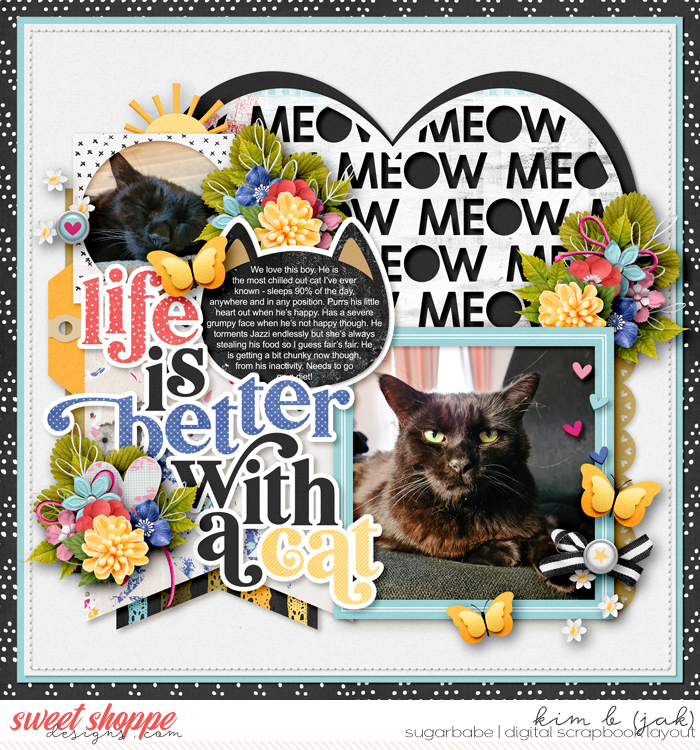Life-is-better-with-a-cat_b1