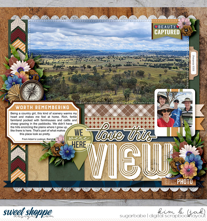 Love-this-view_b