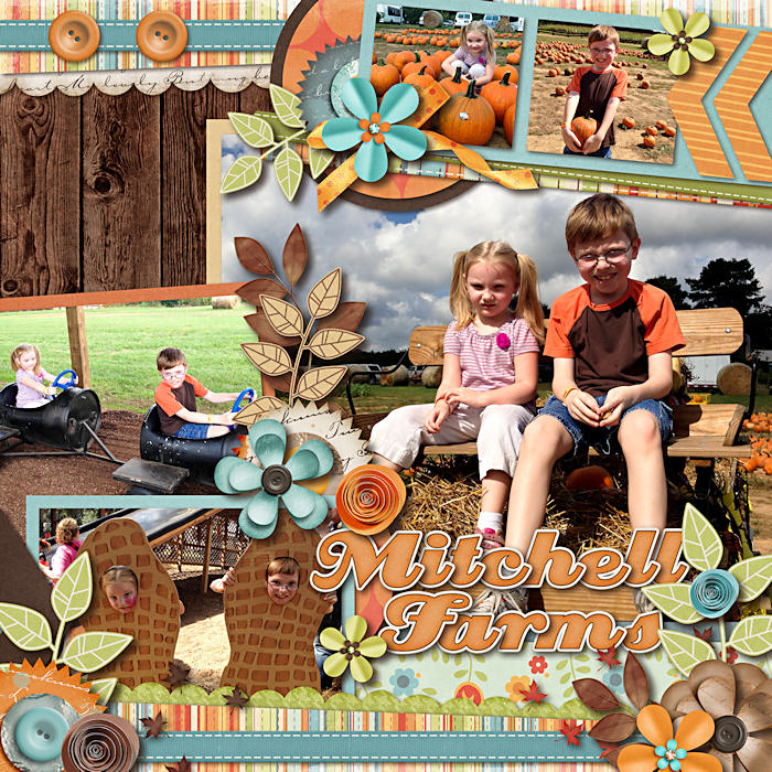 MITCHELL_FARMS1