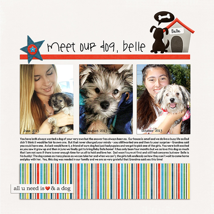Meet-Our-Dog-Belle