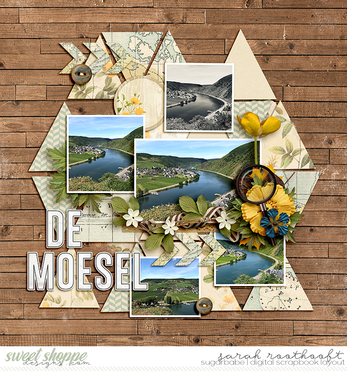 Moesel40web