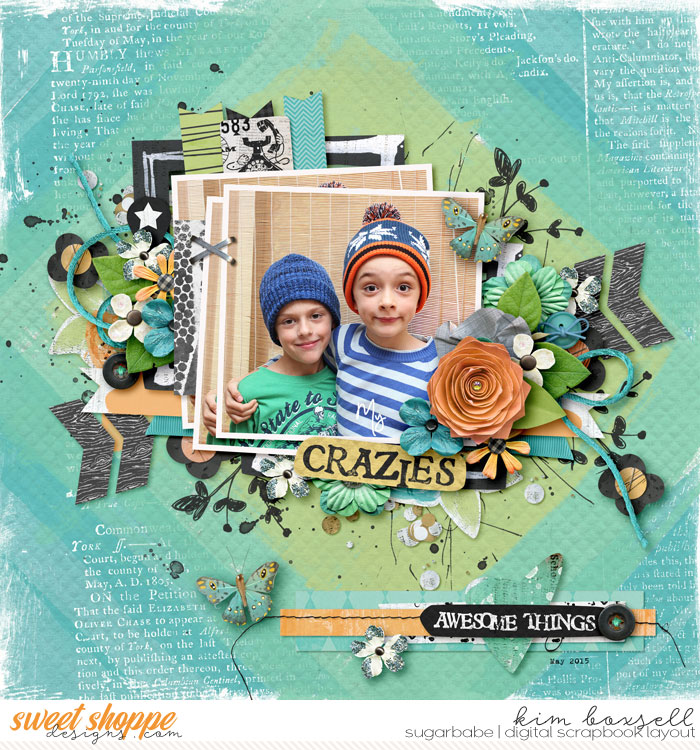 My-crazies_b