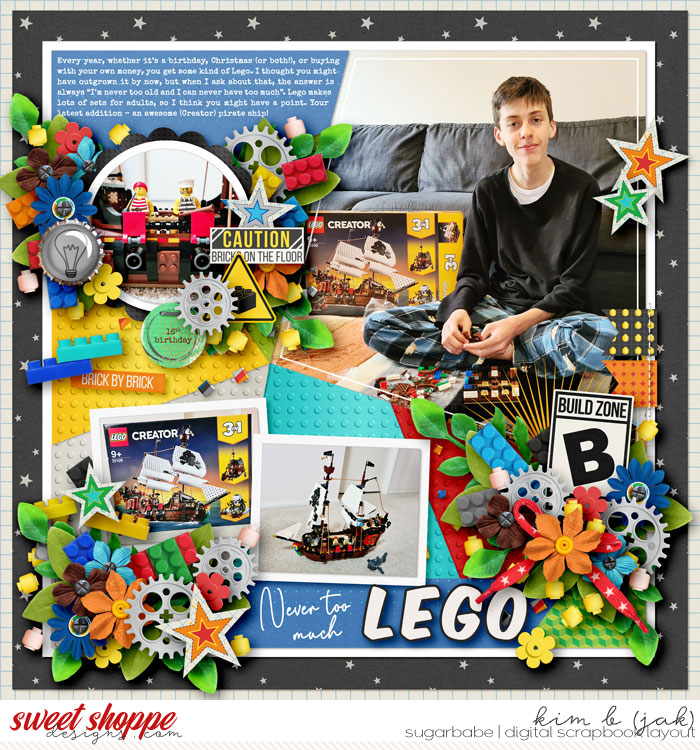 Never-too-much-Lego_b
