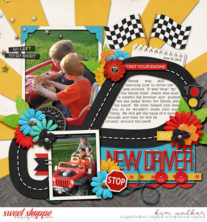 New-Driver2WM