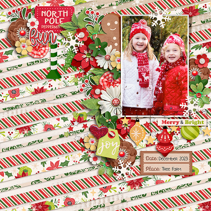 NorthPole_SSD_mrsashbaugh
