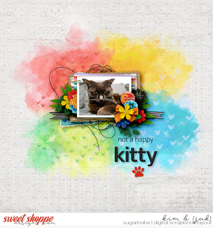 Not-a-happy-kitty_b