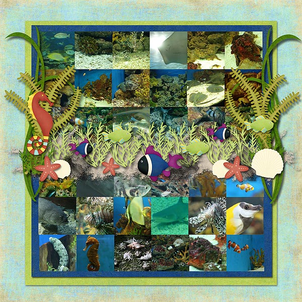 OCEAN-PARK-SEA-CREATURES