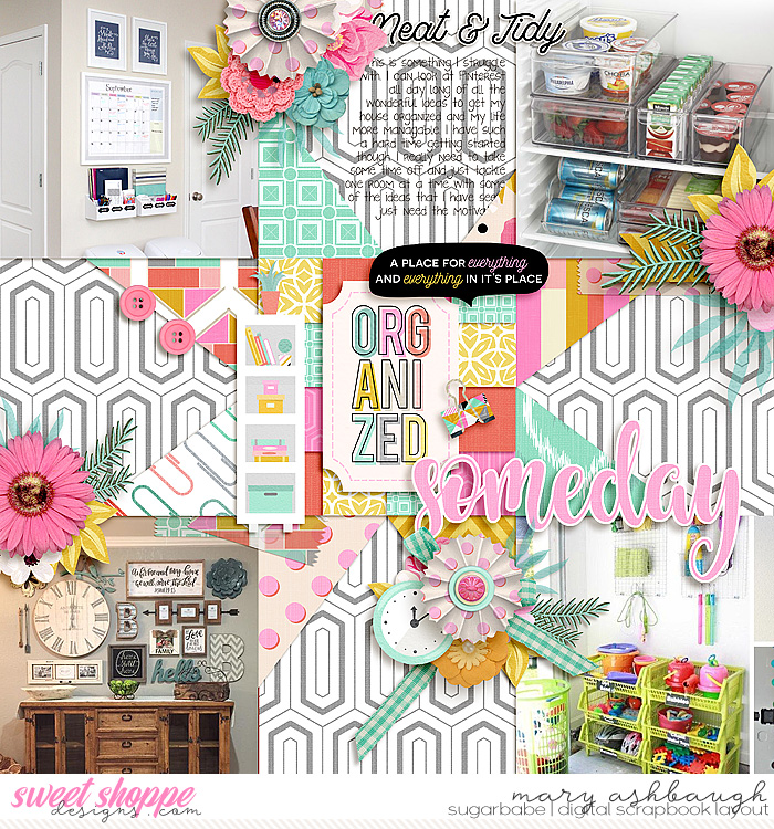 Organized_SSD_mrsashbaugh