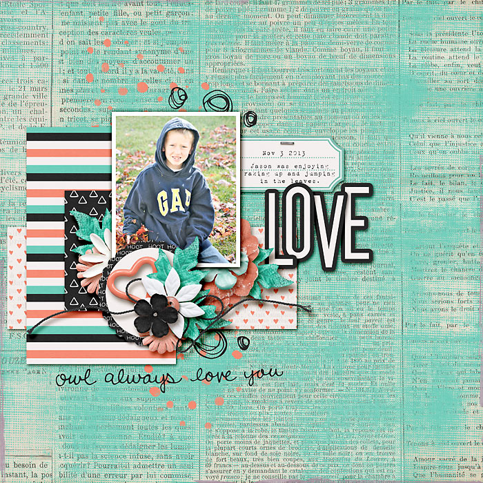 Owl-Love-You1