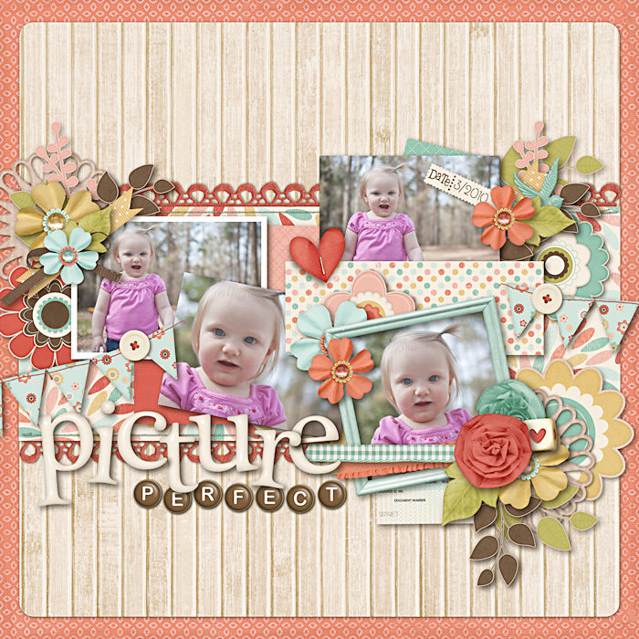 PICTURE_PERFECT2