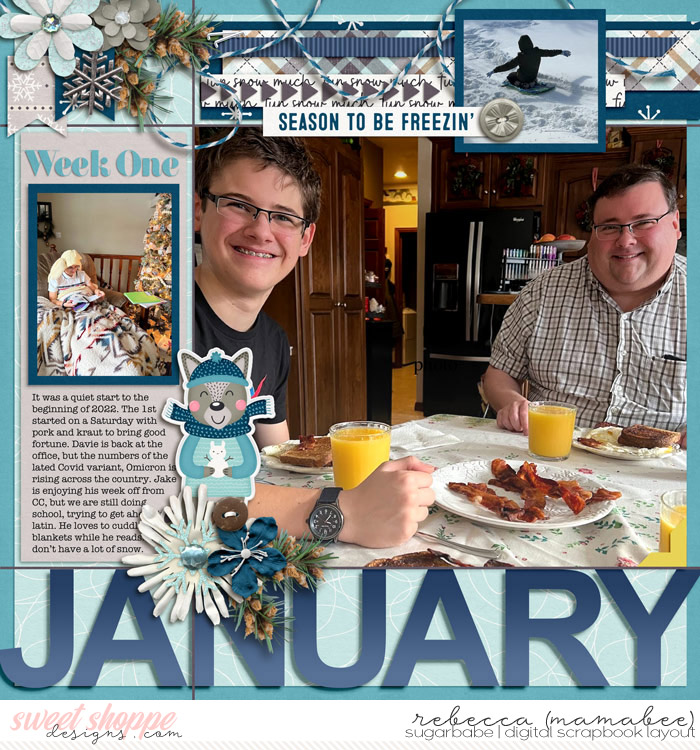 PL-2022_1-week-Jan-1-8-joceedesigns-JIR-januaryweek1LHPB