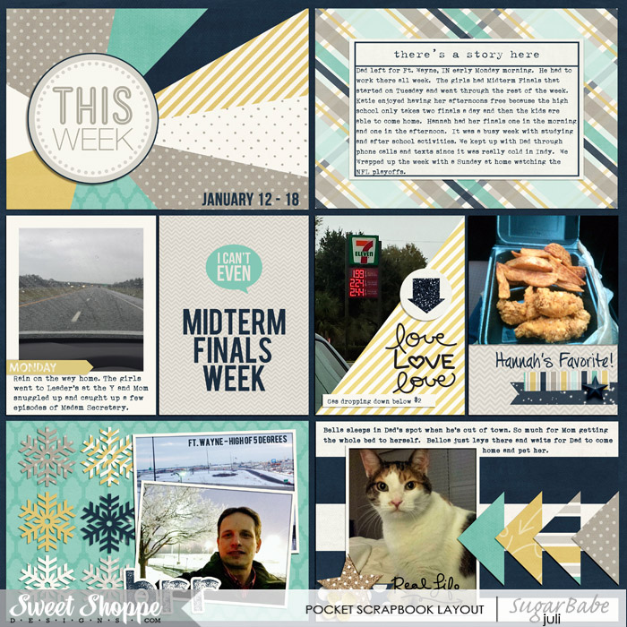 PL_Week_3_-_2015_Left_ssd