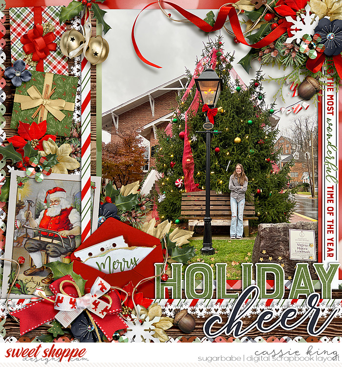 PTD-Homemade-Holiday-_CS-HP-376_
