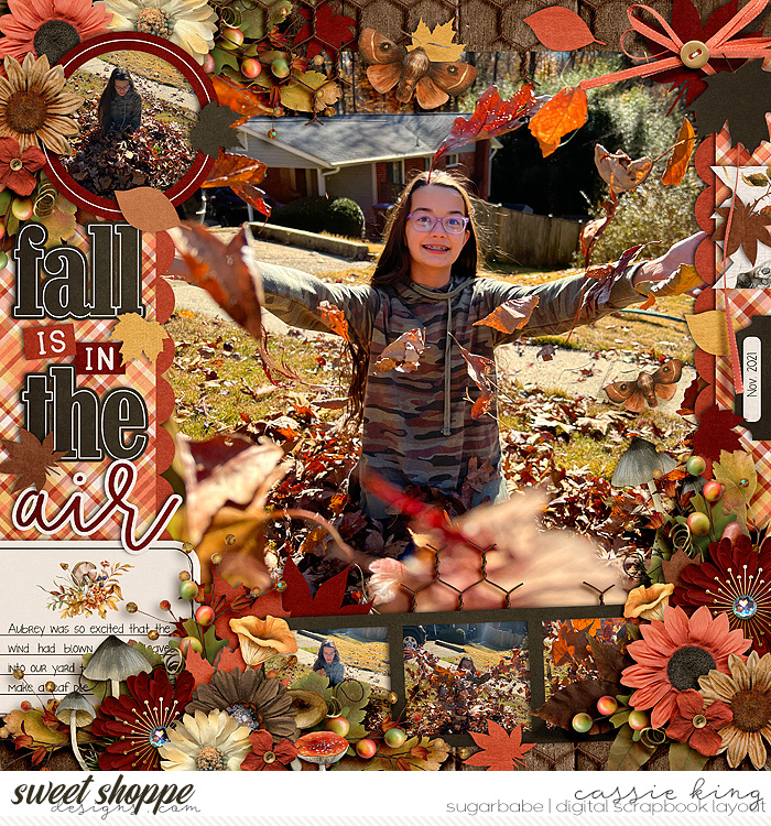 PTD-Splendid-Season-_CS-HP-369_