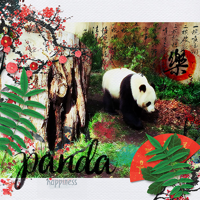 Panda-Happiness-10-19-7