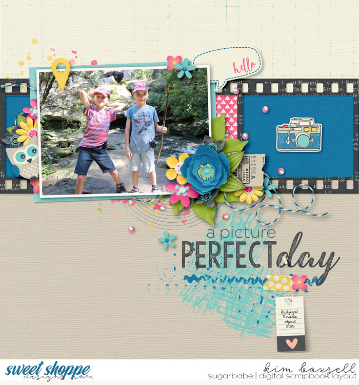 Picture-perfect-day_b