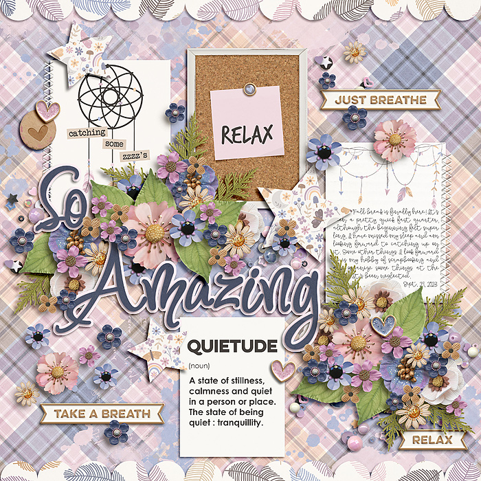 Quietude_SSD_mrsashbaugh