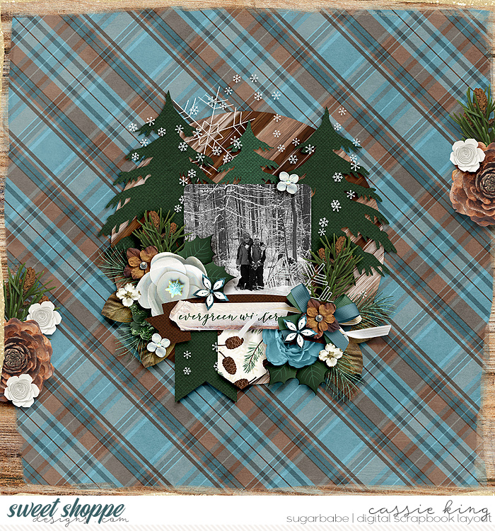 RR-Snowflakes-and-Evergreen-with-FWP-template