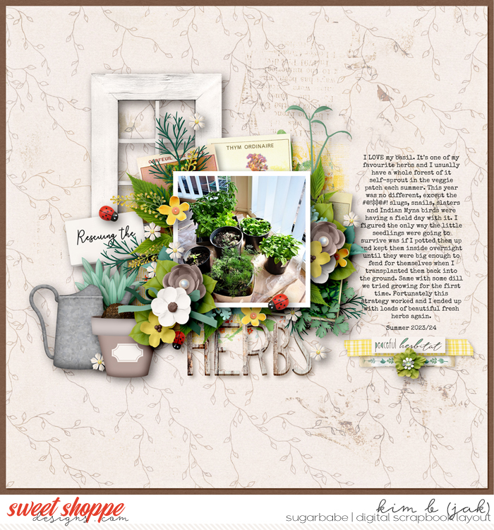 Rescuing-the-herbs_b