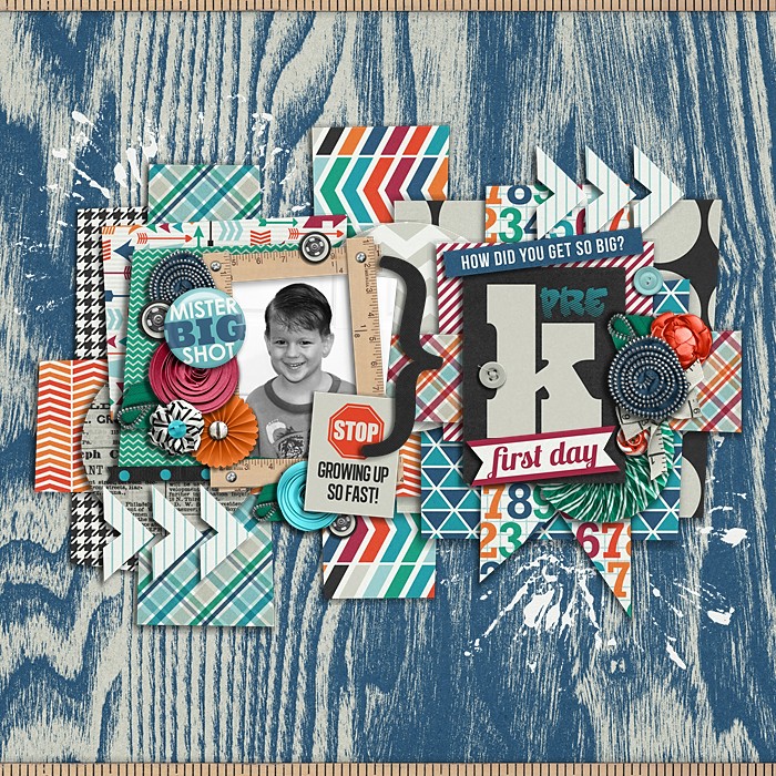 SCBS_lg