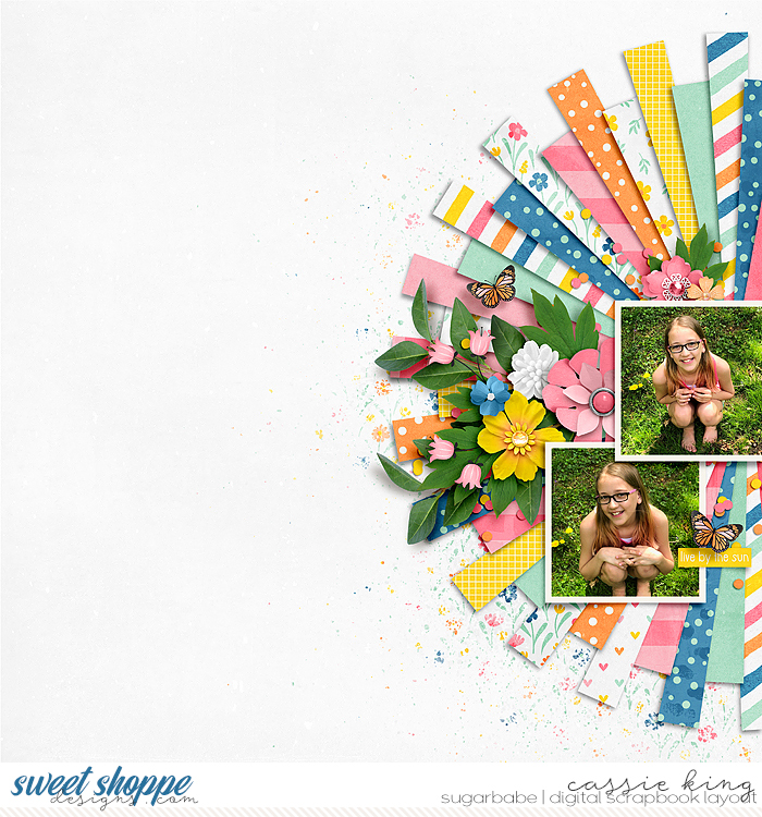 SD_stripsandstripesvol2_04_