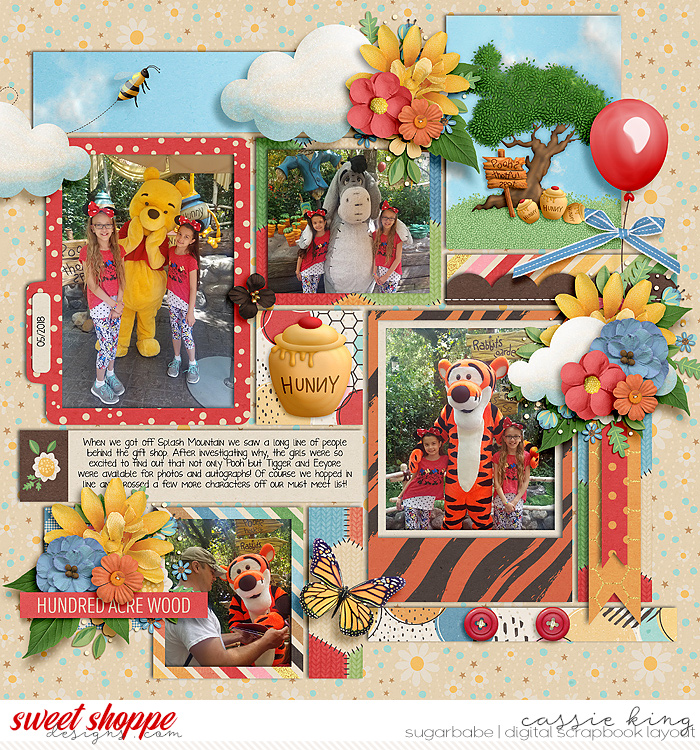 SF-RTM-Honey-Bear-_CS-Set-261_