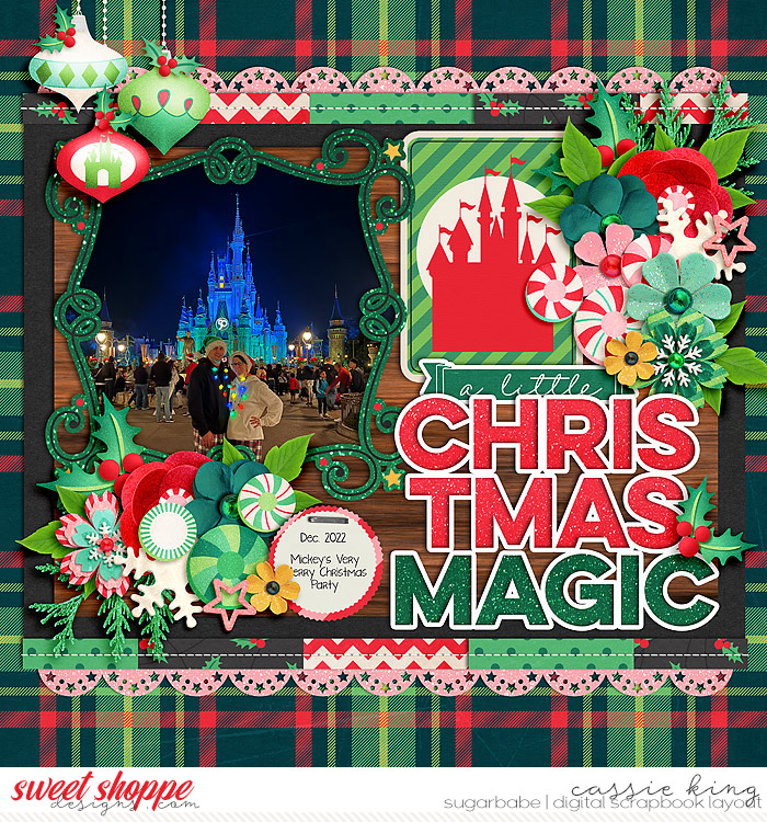 SF-RTM-Park-Christmas-_CS-HP-410_