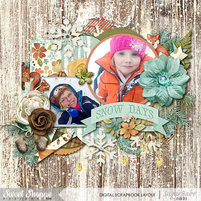 SNOW_DAYS_WM