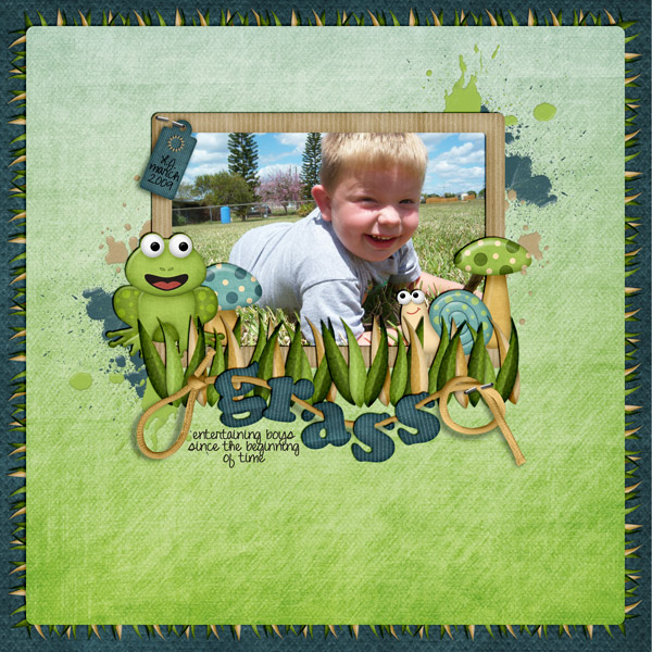 SSD-Grass600