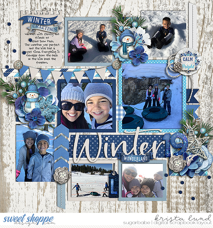 SSD-KL-2019_02-LelandSnowPark