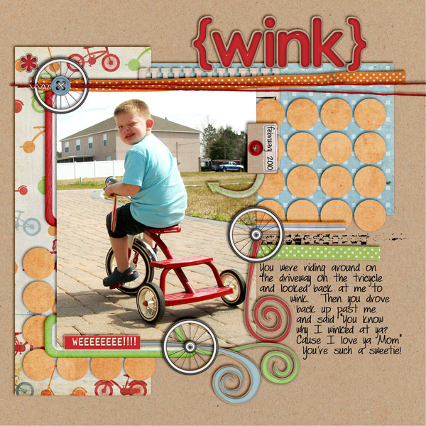 SSD-Wink600