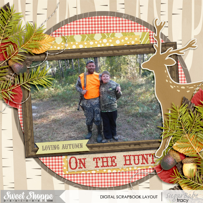 SSD-onthehunt2015WM