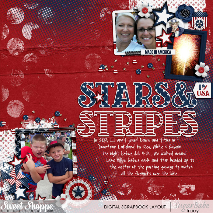 SSD-stars_stripesWM