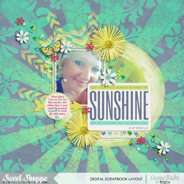 SSD-sunshine2014WM