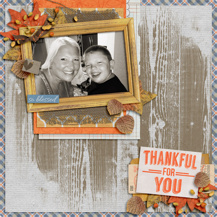 SSD-thankfulforyou2013700